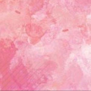 Meet your Posher, Alondra